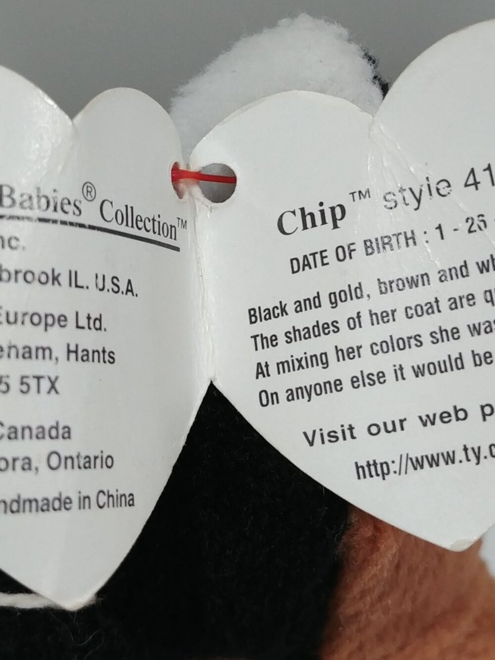 Ty Chip Beany Baby With Birth Tag, Like New - Picture 5 of 5